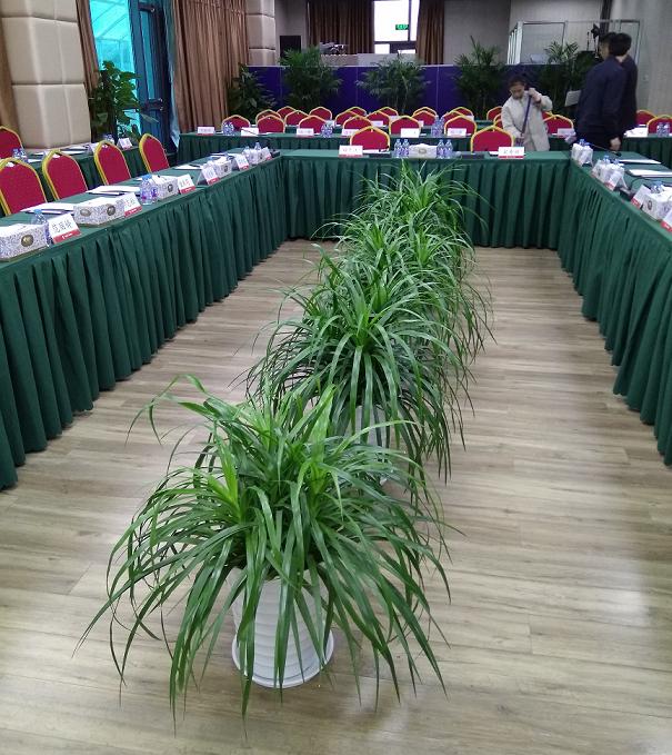 1546048897233593.jpg 2-1.JPG