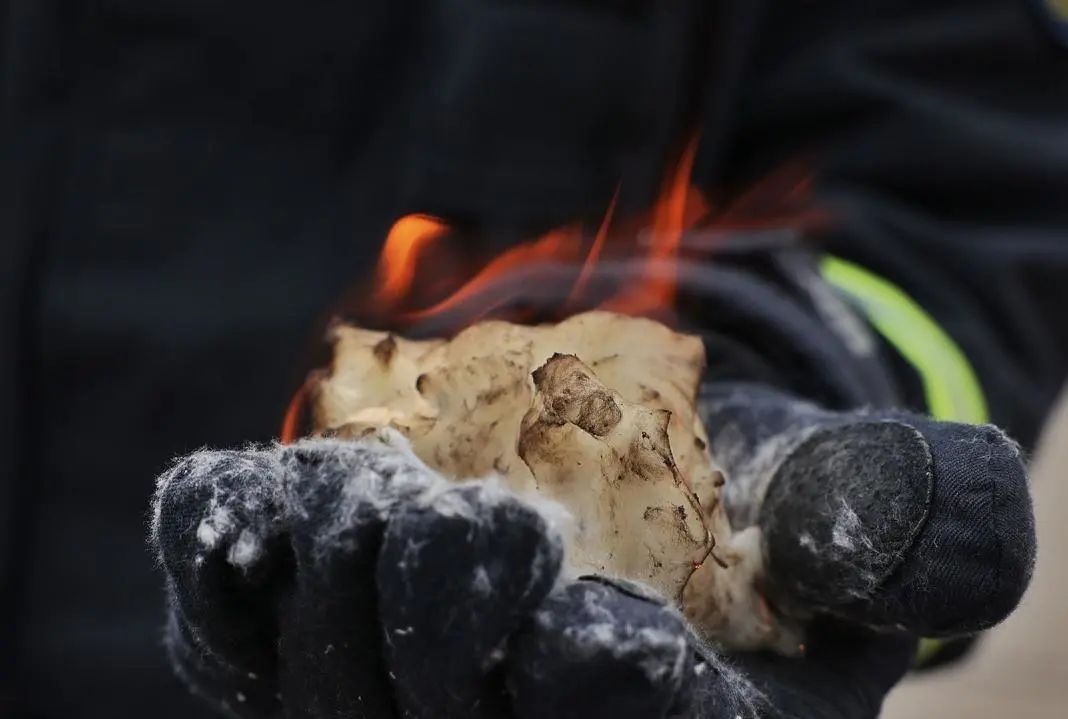 1712802636526505.jpg 3.jpg